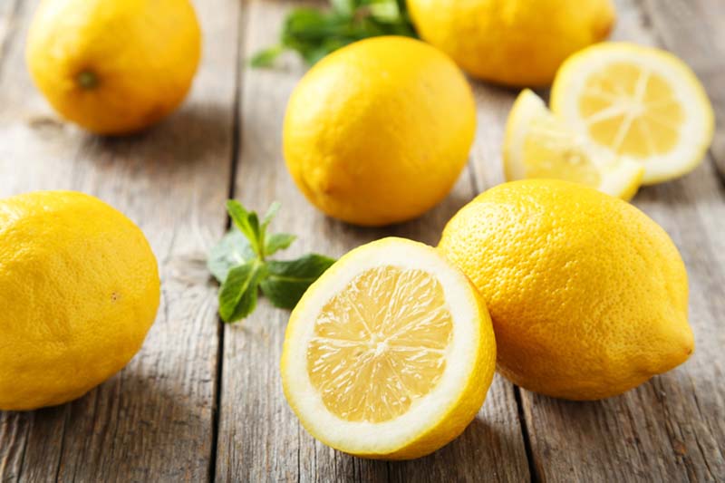 Limona! Zdravilni učinki, načini uporabe in recepti